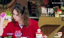 戚薇爆料沈南视频播放,揭秘背后真相与情感纠葛