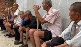 老穆哥最新爆料视频大全,揭秘娱乐圈幕后真相