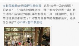 大连二院爆料事件视频播放,真相与争议交织