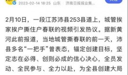 被爆料者敲门视频播放,揭秘被爆料者敲门视频背后的真相